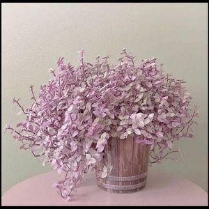 Meet your Posher, Anna carolina